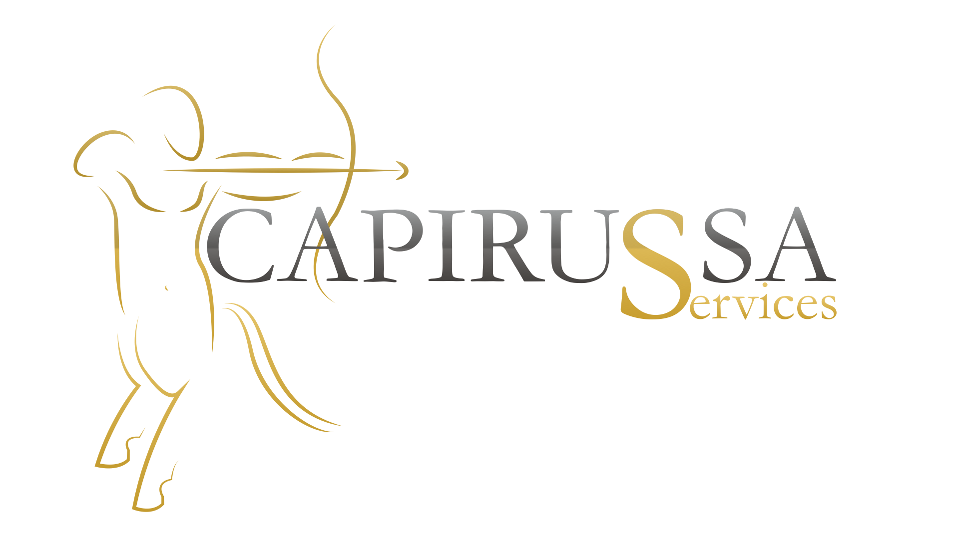 Capirussa Services